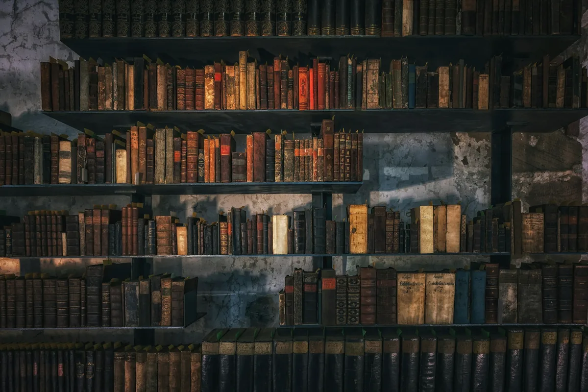 Rayonnages de livres anciens aux reliures brunes
